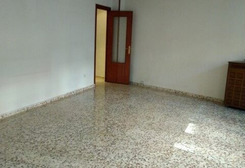 24641 1 1 480x328 - Inicio