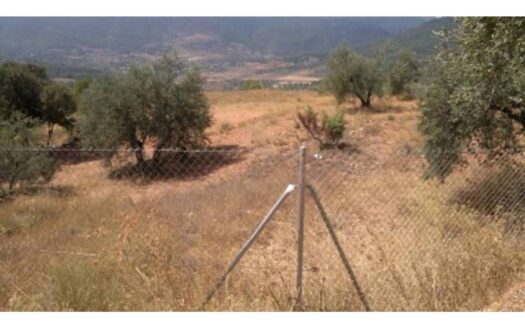 204248 926066030 525x328 - Inicio