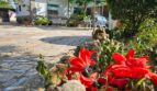 Chalet en Casas Viejas (Albacete)