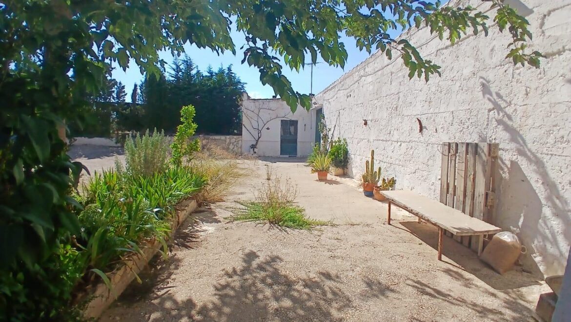 Casa con terreno en Albacete