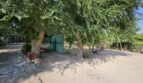 Chalet en Casas Viejas (Albacete)