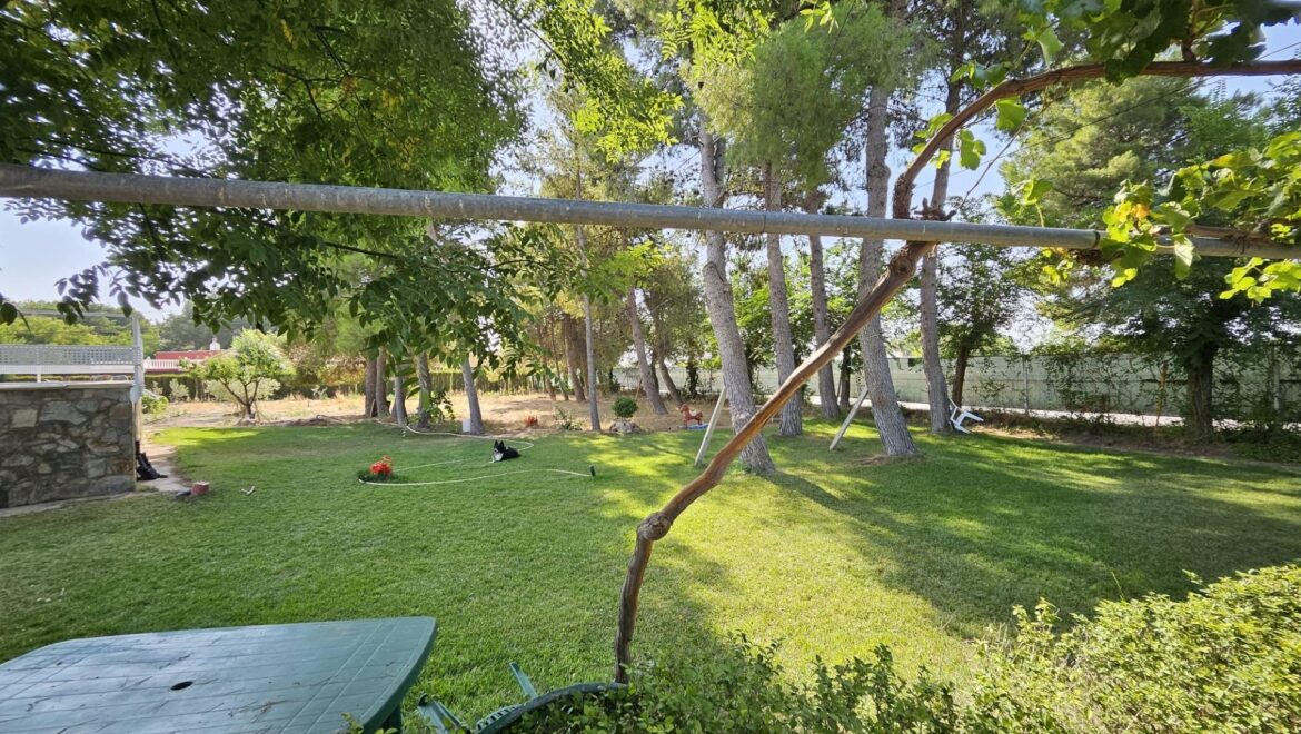 Chalet en Casas Viejas (Albacete)