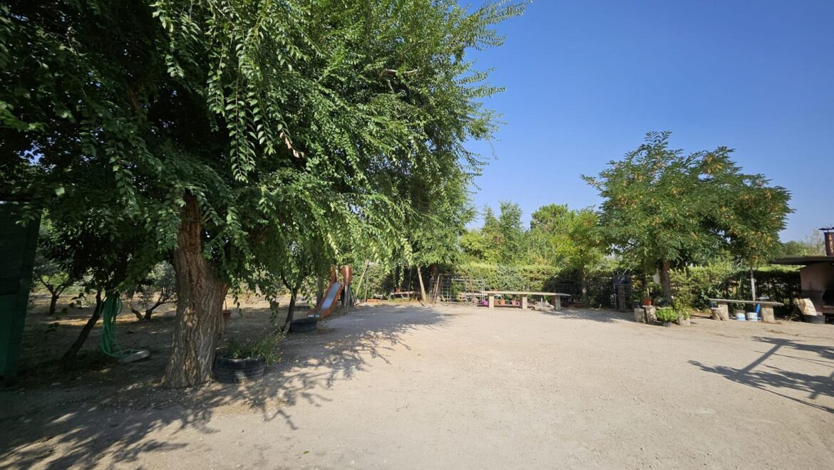 Chalet en Casas Viejas (Albacete)