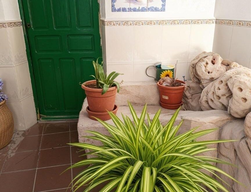 Casa en La Roda